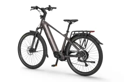 Zijaanzicht van elektrische fiets Ecobike MX 300 Golden Grey